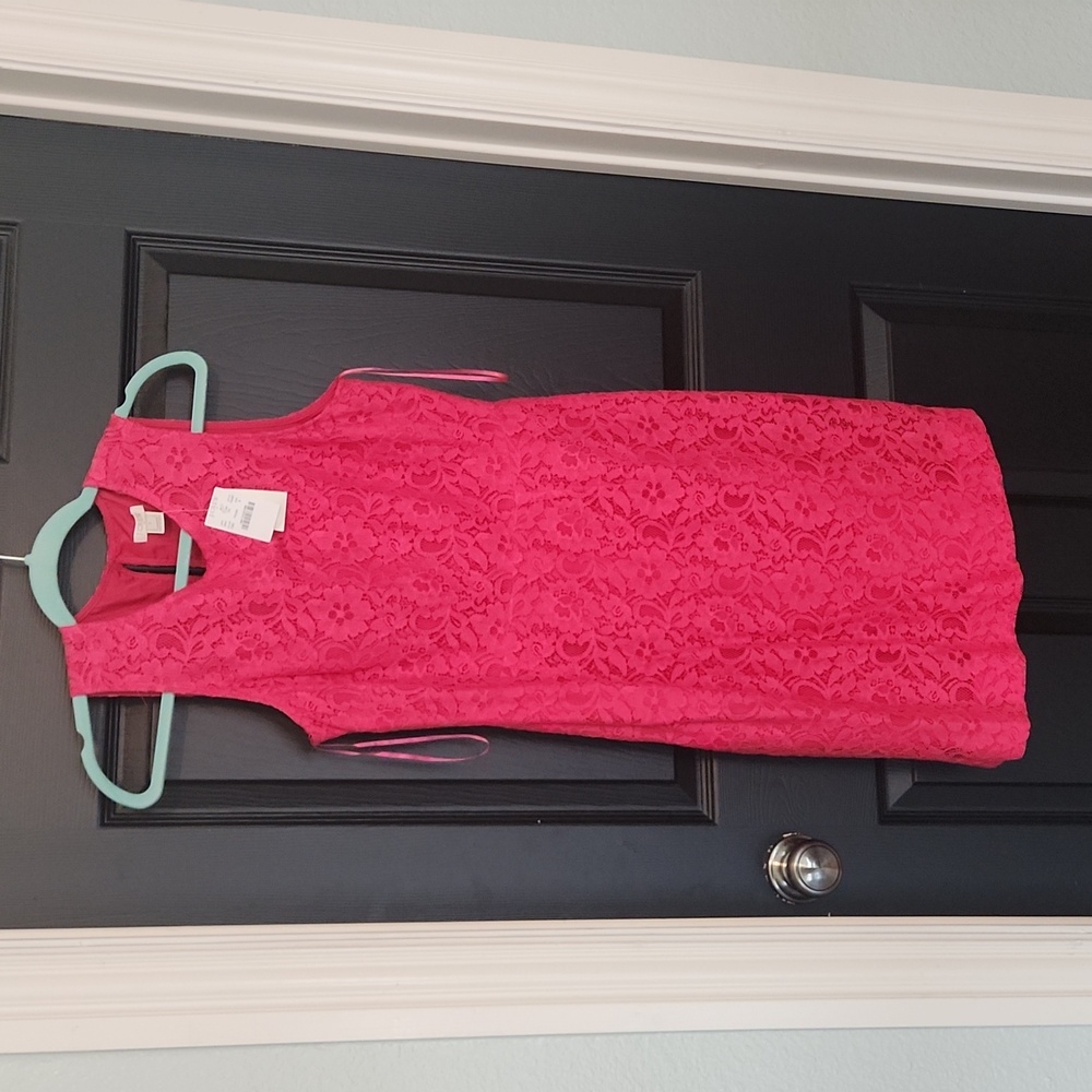 NWT JCrew Women's sleeveless lace pink dress